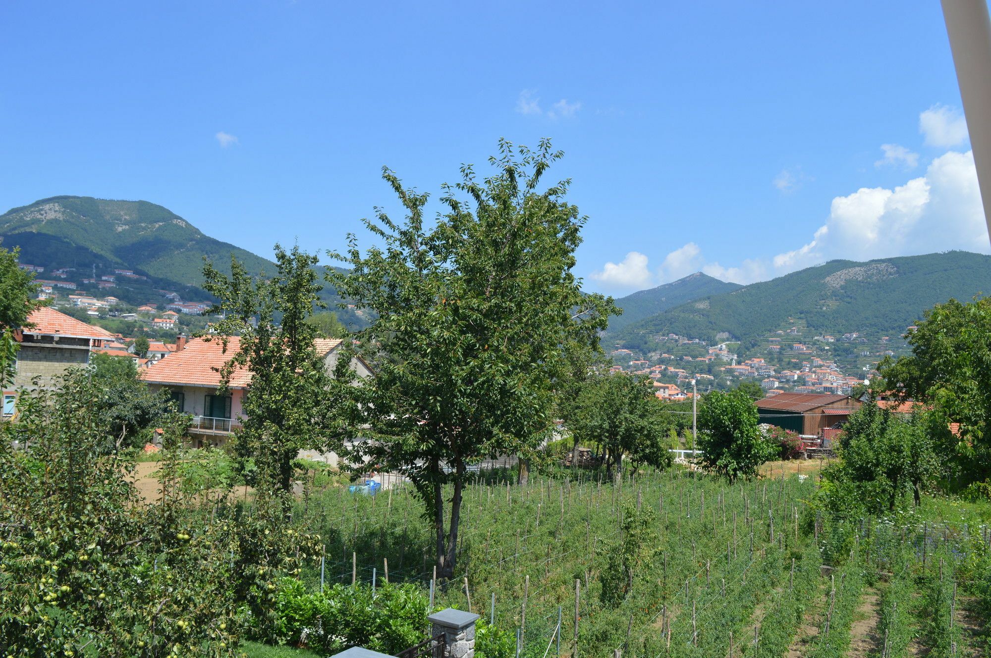 La Casa Dei Fiori - Ospitalita Diffusa Agerola Ngoại thất bức ảnh